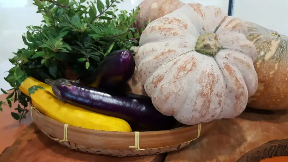 Roasted Eggplant Recipes
